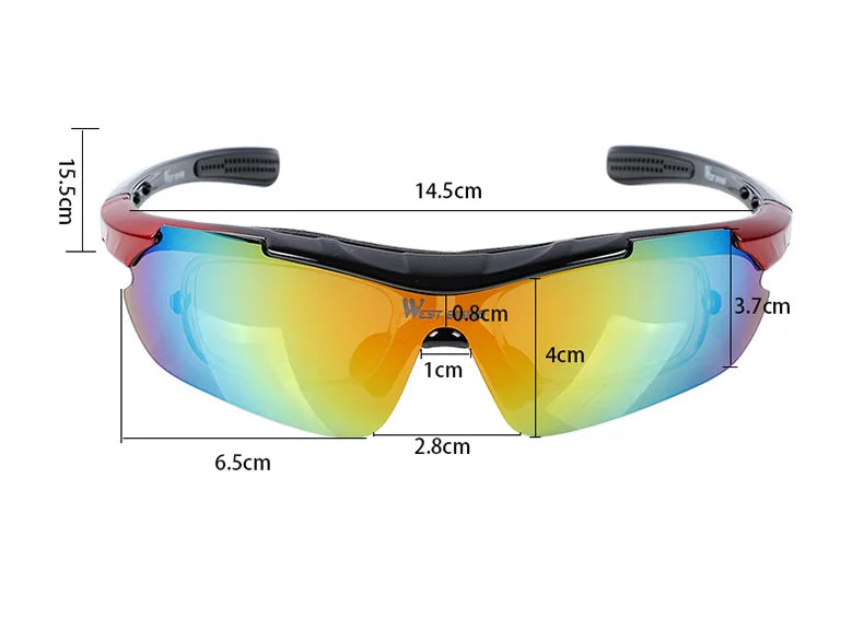 Lunettes polarisantes