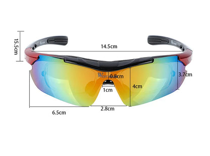 Lunettes polarisantes